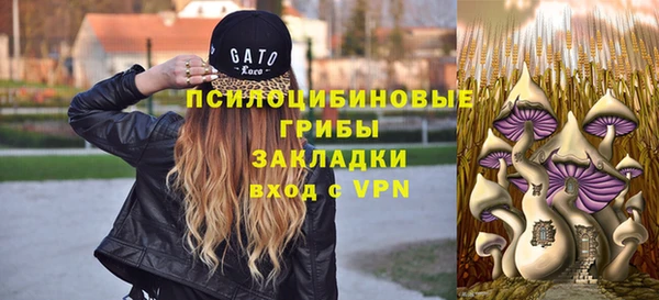 прущая мука Аркадак